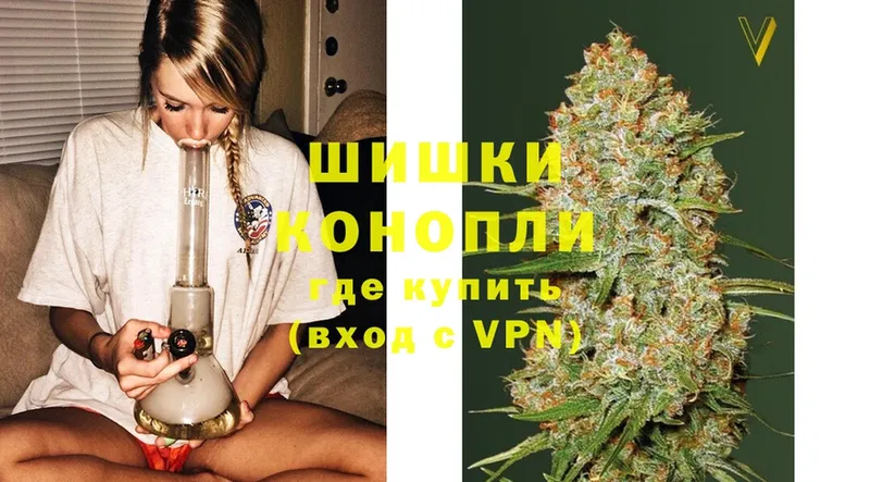 ссылка на мегу зеркало  Гусев  Шишки марихуана SATIVA & INDICA 